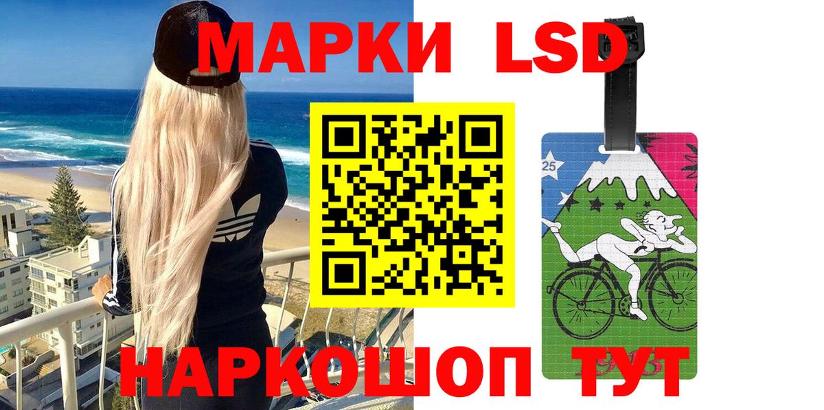 A-PVP Котовск