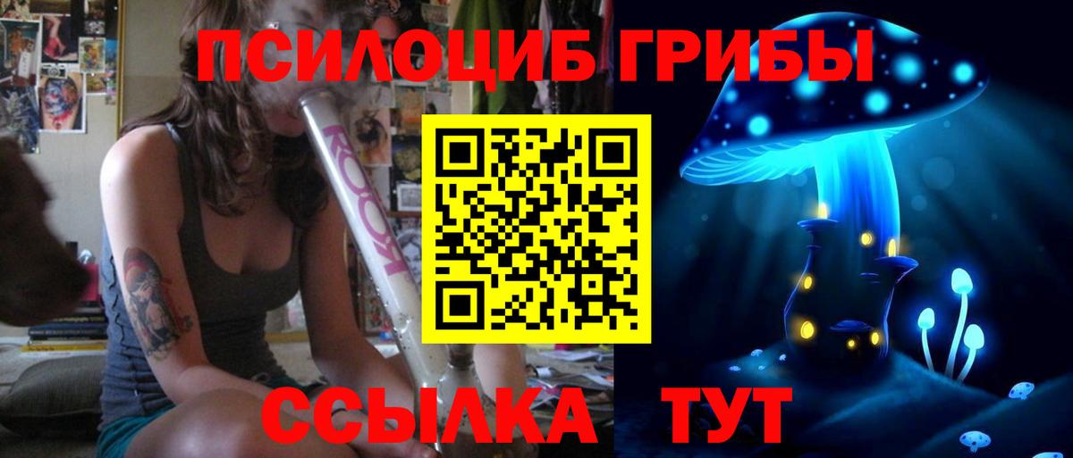 Галлюциногенные грибы ЛСД  Псилоцибиновые грибы мухоморы  Котовск  Вход с VPN 